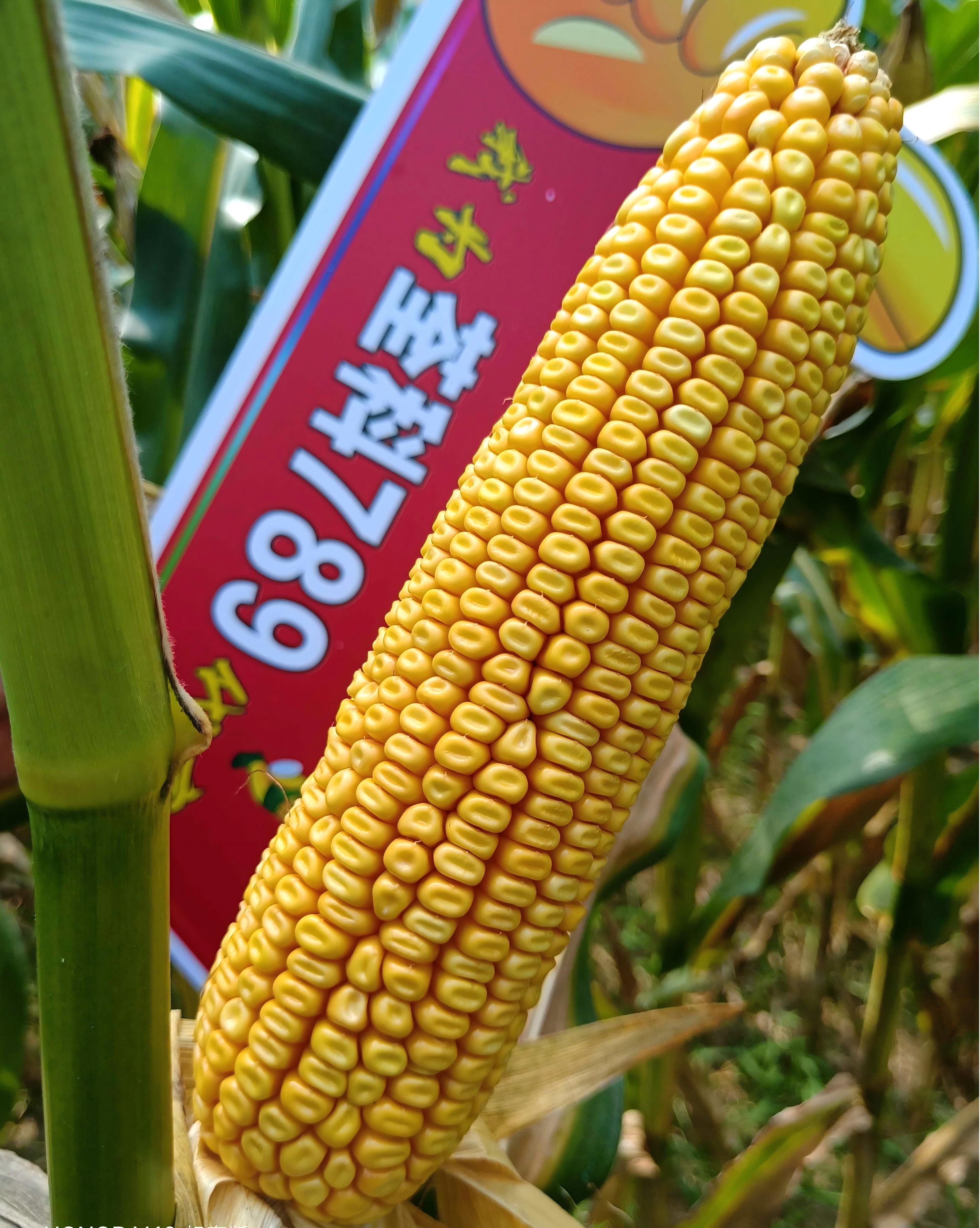 荃科789.jpg